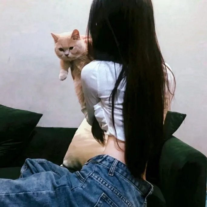 王爷你好贱第三季